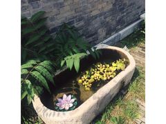 -宛平九号