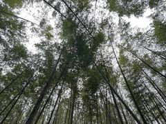 -千泷沟大瀑布旅游区