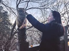 -终南山南五台景区