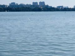 -蠡湖大桥公园