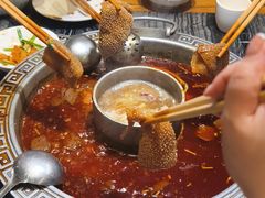 -杨肥肠火锅大排档(火车站花园店)