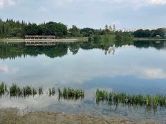 -升仙湖公园