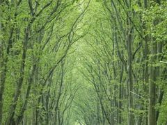 -康熙养生SPA·轻奢足道(江宁万达店)