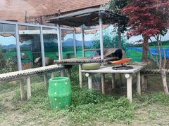 -苏州太湖国家湿地公园