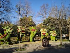 -洛阳市隋唐城遗址植物园
