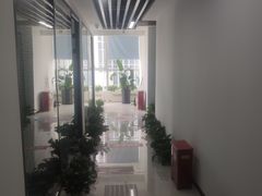 -新航道雅思托福·留学·考研培训(人民广场校区)
