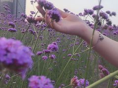 -杭州城北体育公园