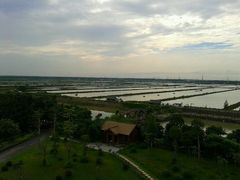 1126_2-大湾区中央湿地公园