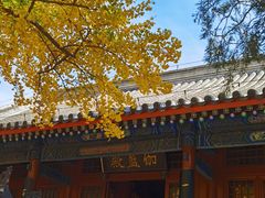 -红螺寺