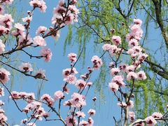 -洨河生态公园