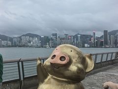 -星光大道
