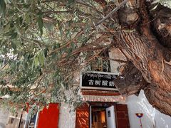 -古树酸奶(八廓南街店)