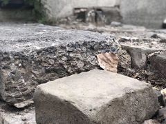 -皇城根遗址公园-东安门遗址