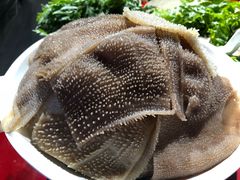 -龍龍老火锅(鄠邑旗舰店)