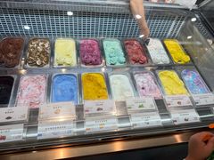 -iceason爱茜茜里·意大利健康冰淇淋(骑龙巷店)