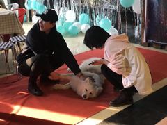 -不止轰趴独栋别墅户外烧烤(颐西庄园店)