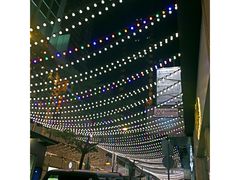 -Passion by Gerard Dubois