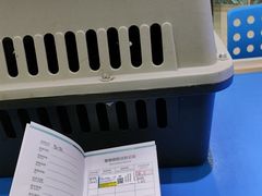 -瑞派申生动物医院·24H夜诊·国际动物医疗中心·骨外科(吴中路店)
