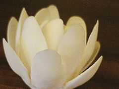 -御境SPA休闲会馆