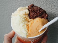 -DIP in GELATO(富民路店)