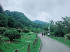 -贵阳市花溪国家城市湿地公园