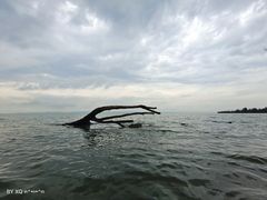-捞渔河湿地公园