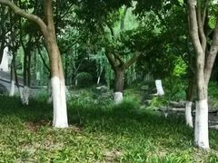 -杭州黄龙洞