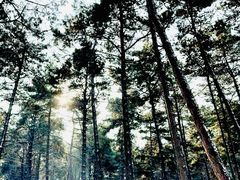 -长春净月潭风景名胜区
