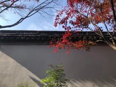 -秋霞圃