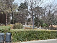 -长春世界雕塑园冰雪艺术天地