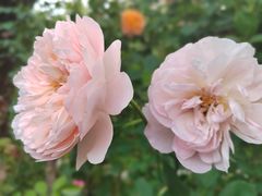 -西安市长乐公园