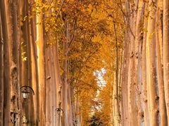 -河南省黄河迎宾馆