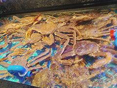 -忆江南·临江鱼馆