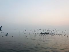 -恒河