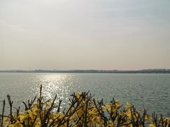 -丁香湖公园