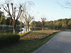 -上海鲜花港
