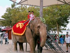 -西霞口神雕山野生动物世界