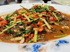 -广信传说