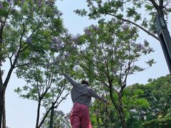 -宜家家居(高新商场店)