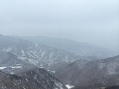 -马庆安羊汤馆(总店)