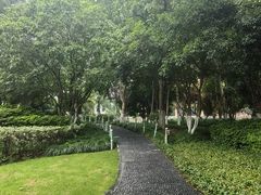 -常州古运河南大街文化旅游区-人民公园