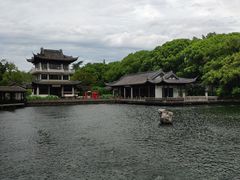 -无锡蠡湖国家湿地公园-蠡园