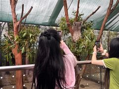 -悉尼海洋生物水族馆