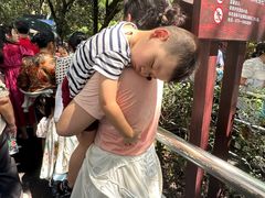 -韶山毛泽东同志故居