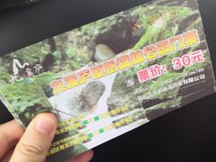 -龙岩森林水乡景区