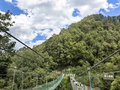 -栾川竹海野生动物园