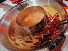 -大龙燚·旷野鲜火锅(广州首店)
