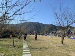-千岛湖石林