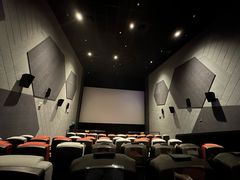 -星河寰宇IMAX影城(星河WORLD·COCO Park店)