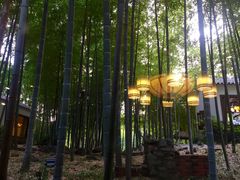 -木子山庄·安徽省老字号·中国炖锅宴